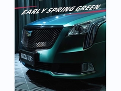 TPU-Early Spring Green (berkilau)